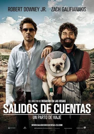 Cartel de 🐶 ¡El perro que salía volando por el coche era un peluche!